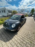 VW New Beetle Nordrhein-Westfalen - Rheinbach Vorschau