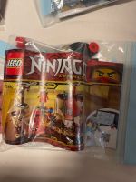 Lego Ninjago 70680 Ninja Tempeltraining Rheinland-Pfalz - Mainz Vorschau