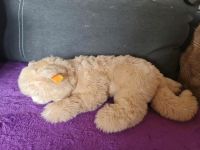 Steiff Kuscheltier "Minou" 2754/40 Nordrhein-Westfalen - Windeck Vorschau