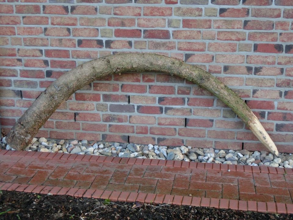 Stoßzahn aus Holz " Elfenbein " Unikat in Heidgraben