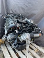 Motor Alfa Romeo Giulia Stelvio 2.0t 55273835 KOMPLETT Berlin - Wilmersdorf Vorschau