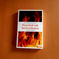 Feuertod am Sechseläuten von Wolfgang Wettstein Dortmund - Mitte Vorschau