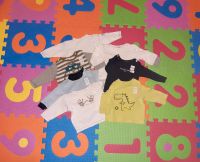 7 Pullis/ Pullover Set Paket Gr. 56 Nordrhein-Westfalen - Marienheide Vorschau