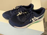 Asics Gel Dedicate 8 in 43,5 sehr guter Zustand Nordrhein-Westfalen - Borchen Vorschau