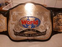 Wwf Wrestling Replica wwe ecw ecw tna aew belt Gürtel titel Saarland - St. Wendel Vorschau