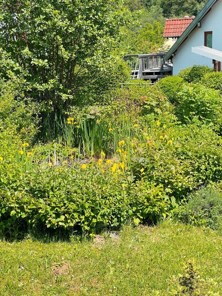 Ein besonderer Tageskurs. Rutengehen und Pendeln leicht gemacht. in Herdwangen-Schönach