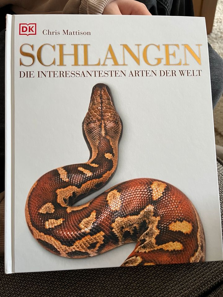 Schlangen - die interessantesten Arten der Welt in Rietberg