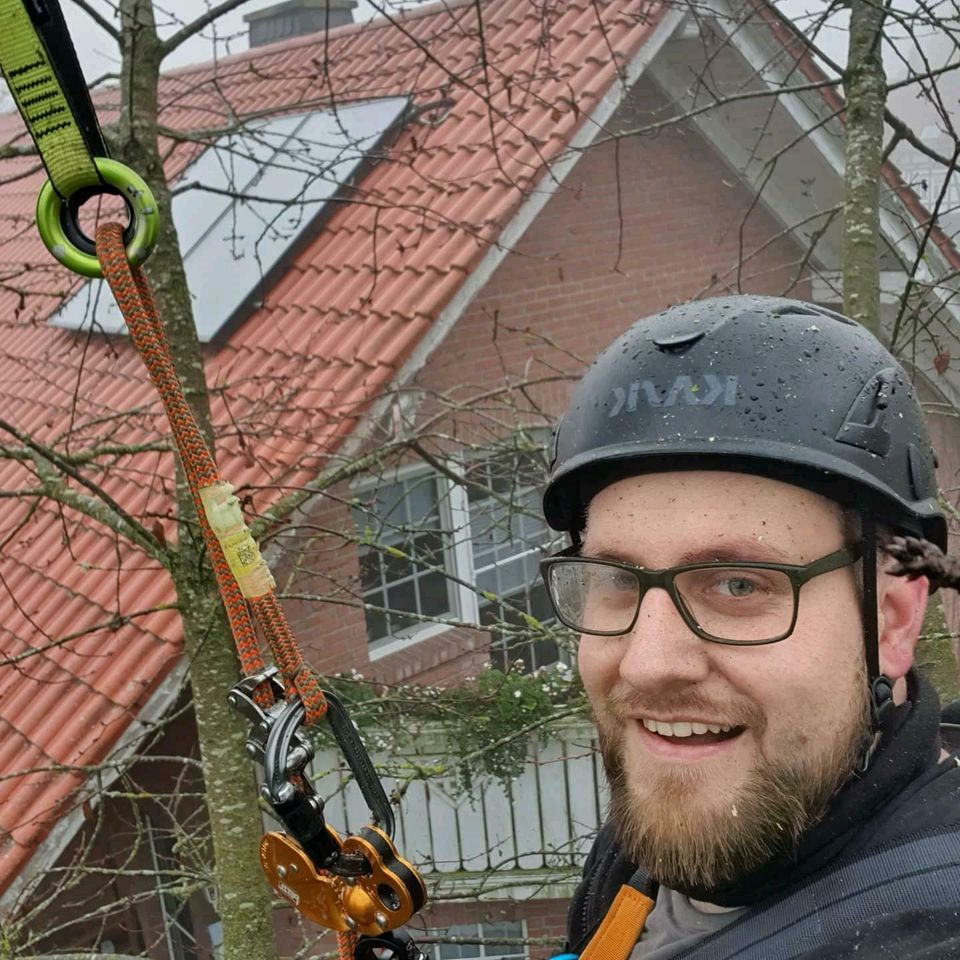 ‼️Baumpflege/Baumfällung/Risikofällung/Heckenpflege in Burgwald