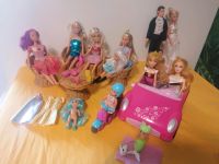 Barbie Paket abzugeben Saarland - Dillingen (Saar) Vorschau