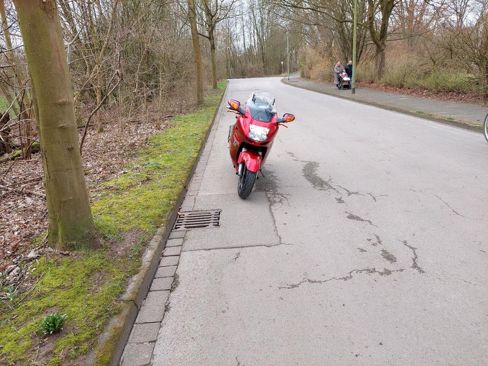 Honda cbr 1100xx Super Blackbird in Duisburg