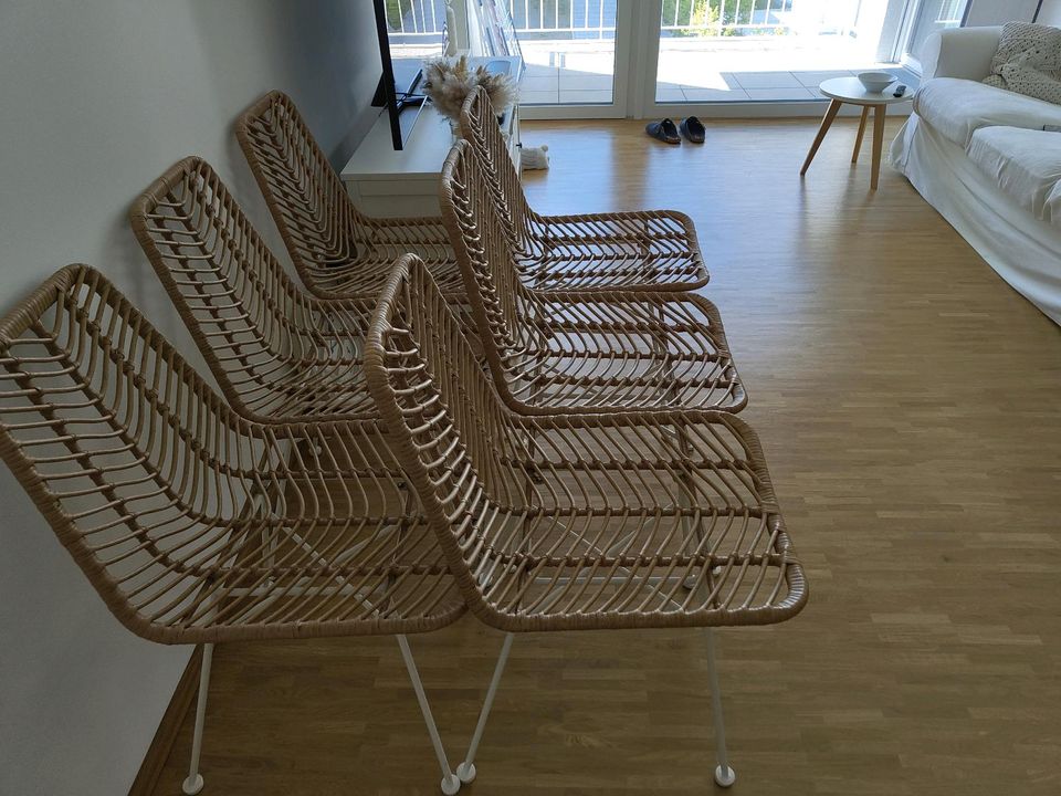 6 Gartenstühle auch als Esszimmerstühle geeignet. in Hannover