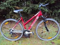 28" BULLS Crossbike 2 Damen Trecking MTB Fahrrad Rosenthal am Rennsteig - Seibis Vorschau