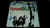 The Hummingbirds - loveBUZZ - 12" LP Album Schallplatte Essen - Altenessen Vorschau