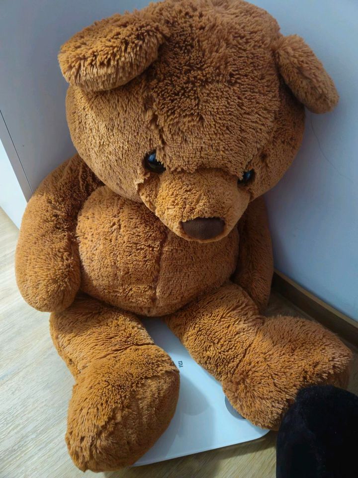 Teddybär zu verkaufen in Bremen