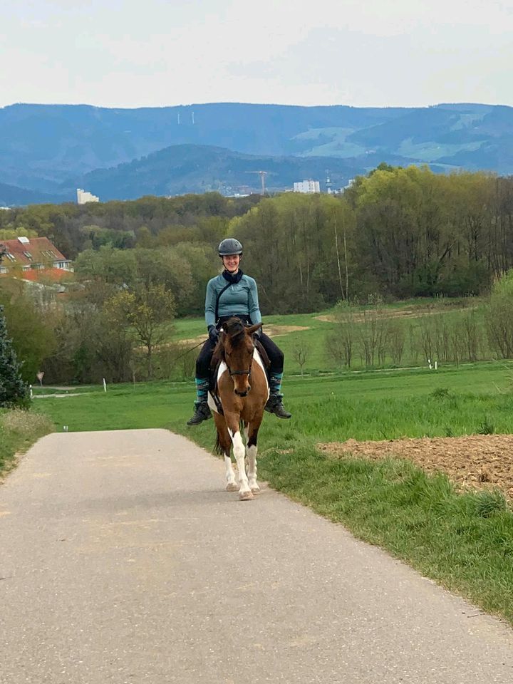 Reitbeteiligung (Pferd sucht Reiter) in Freiburg im Breisgau