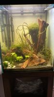 Aquarium 150 Liter 50x50x60 LxBxH Nordrhein-Westfalen - Steinfurt Vorschau