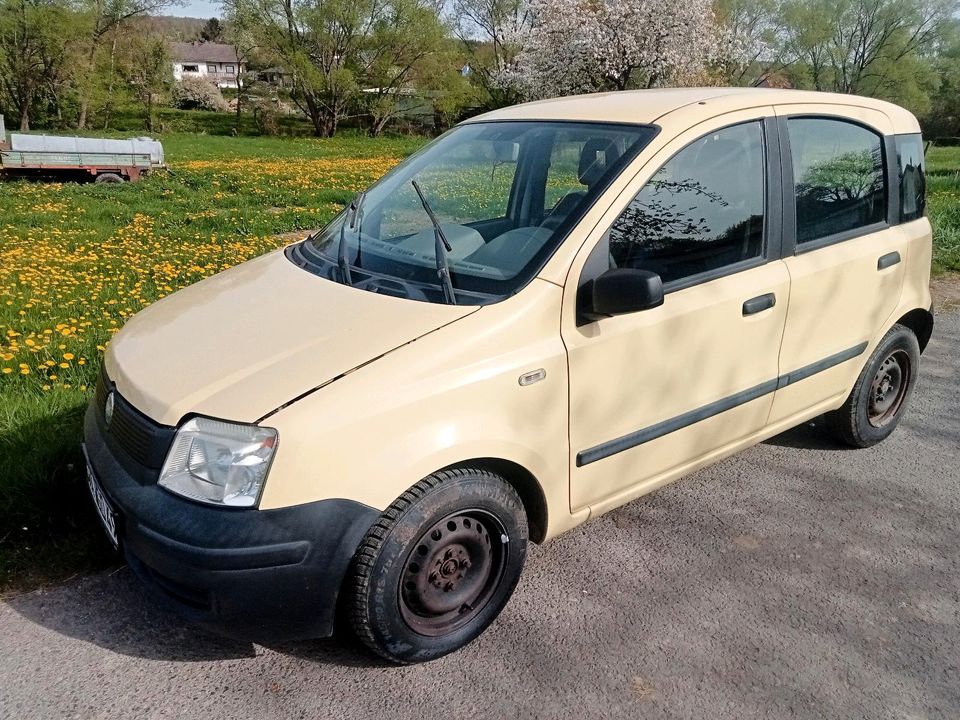 Fiat Panda in Aarbergen