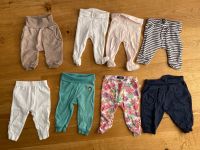 Set: Baby Hosen Gr. 56-68 (8 Stück) Bayern - Hebertshausen Vorschau