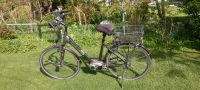 eBike Giant 28‘‘  Damenrad Twist Elegance Coaster M Hessen - Eschwege Vorschau