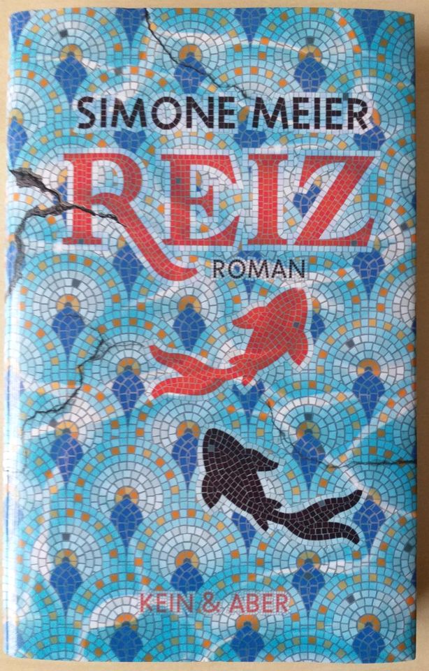 REIZ Buch HARDCOVER in Heimsheim