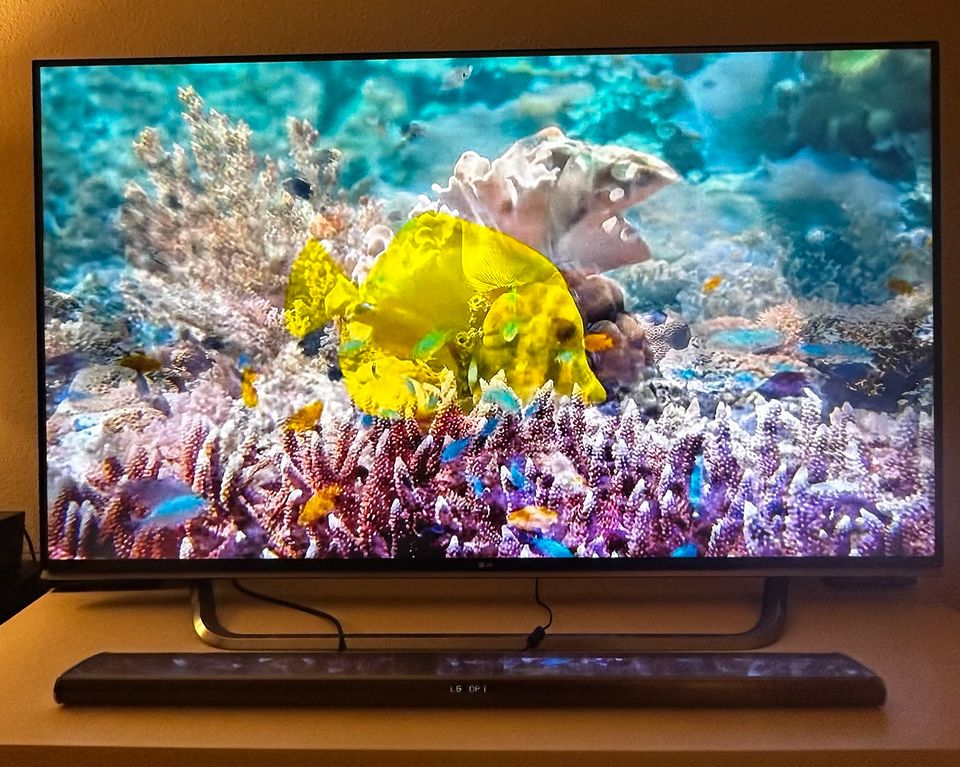 LG TV 65 Zoll in Offenbach