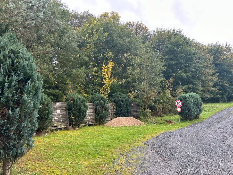 Baugrundstück in Ahrhütte (Eifel) zu verkaufen! in Blankenheim