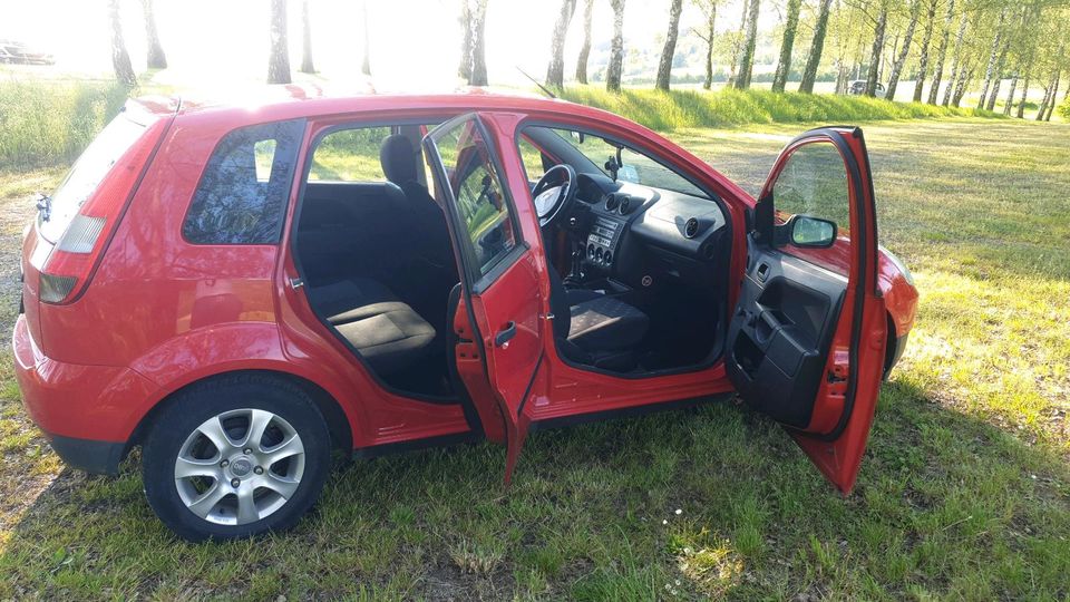 Ford Fiesta 2004 in Neudenau 