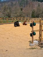 Equi Power Allround-,Span Nordrhein-Westfalen - Arnsberg Vorschau