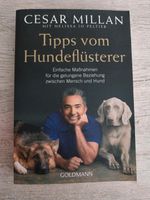 Cesar Millan Tipps vom Hundeflüsterer Baden-Württemberg - Mulfingen Vorschau