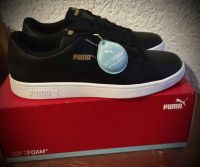 Puma Sneaker Smash V2 Sport Schuhe Karton 42 1/2 Herren SoftFoam Bayern - Bad Staffelstein Vorschau