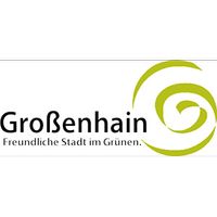 Sachgebietsleiter IT-Service (m/w/d) Sachsen - Großenhain Vorschau