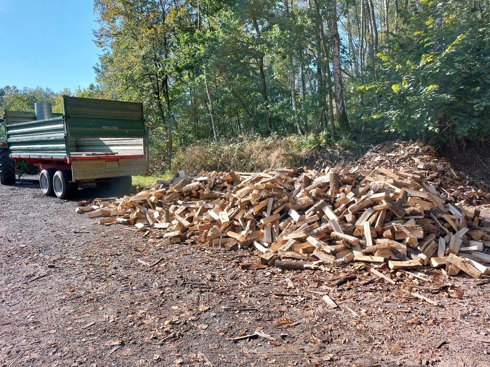 Kaminholz, Feuerholz,  Brennholz in Rosengarten