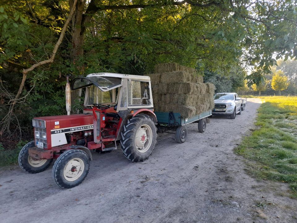 Heu erster und zweiter Schnitt in Dettenheim