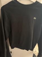 Lacoste Pullover Hamburg-Mitte - Hamburg Horn Vorschau