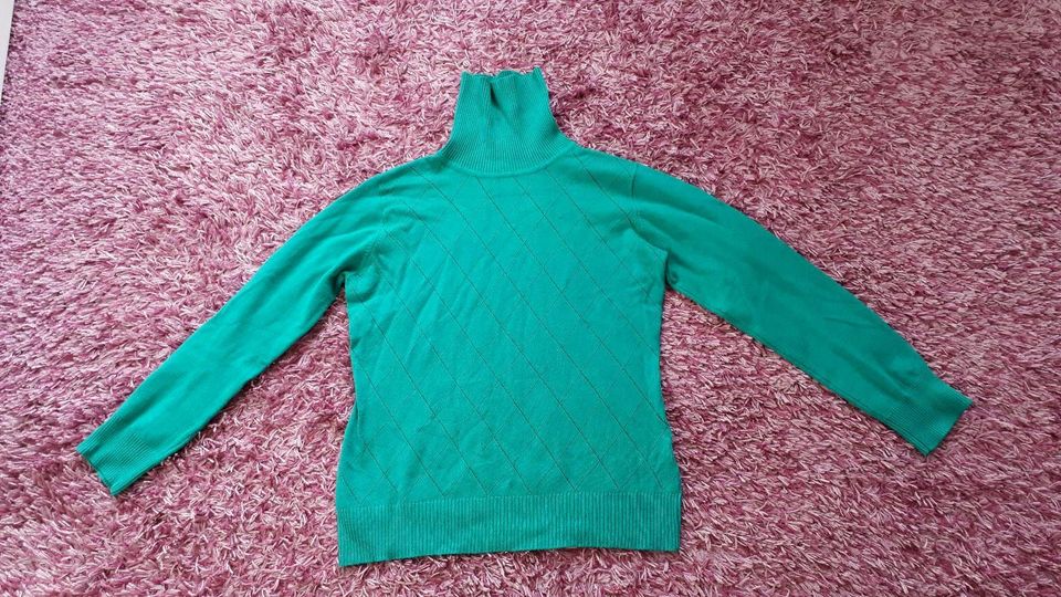 Rollkragen Pullover Gr.140 in Spaichingen