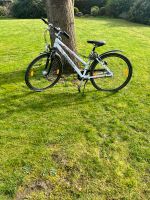 Pegasus Fahrrad / Damenrad / Kinderrad 26Zoll Nordrhein-Westfalen - Menden Vorschau