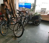 2xFahrrad Herrenrad Damenrad Kinderrad Sozialkaufhaus Bad Doberan Bad Doberan - Landkreis - Bad Doberan Vorschau