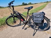 Damen-E-Bike: Prophete Alu-Trekking 28" AEG Entdecker e8.7 Rheinland-Pfalz - Germersheim Vorschau