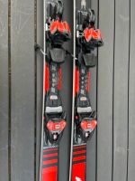 Nordica Carving Ski 155 l Wandsbek - Hamburg Farmsen-Berne Vorschau