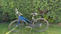 Specialized Damenrad Hessen - Ebsdorfergrund Vorschau