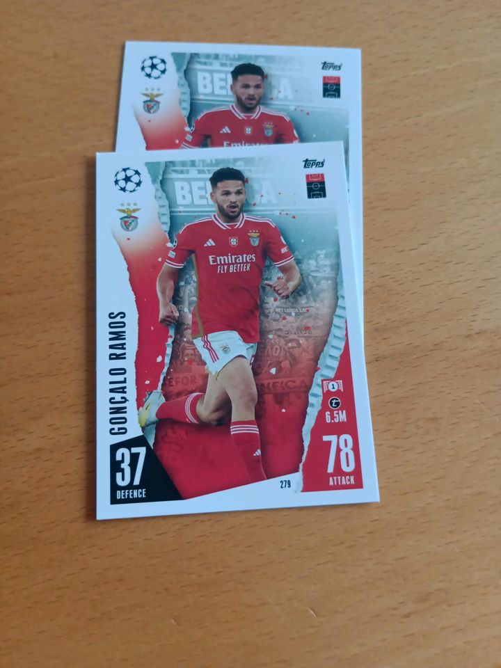 Match Attax Champions League 23/24 Newcastle United & Sl Benfica in Weil der Stadt