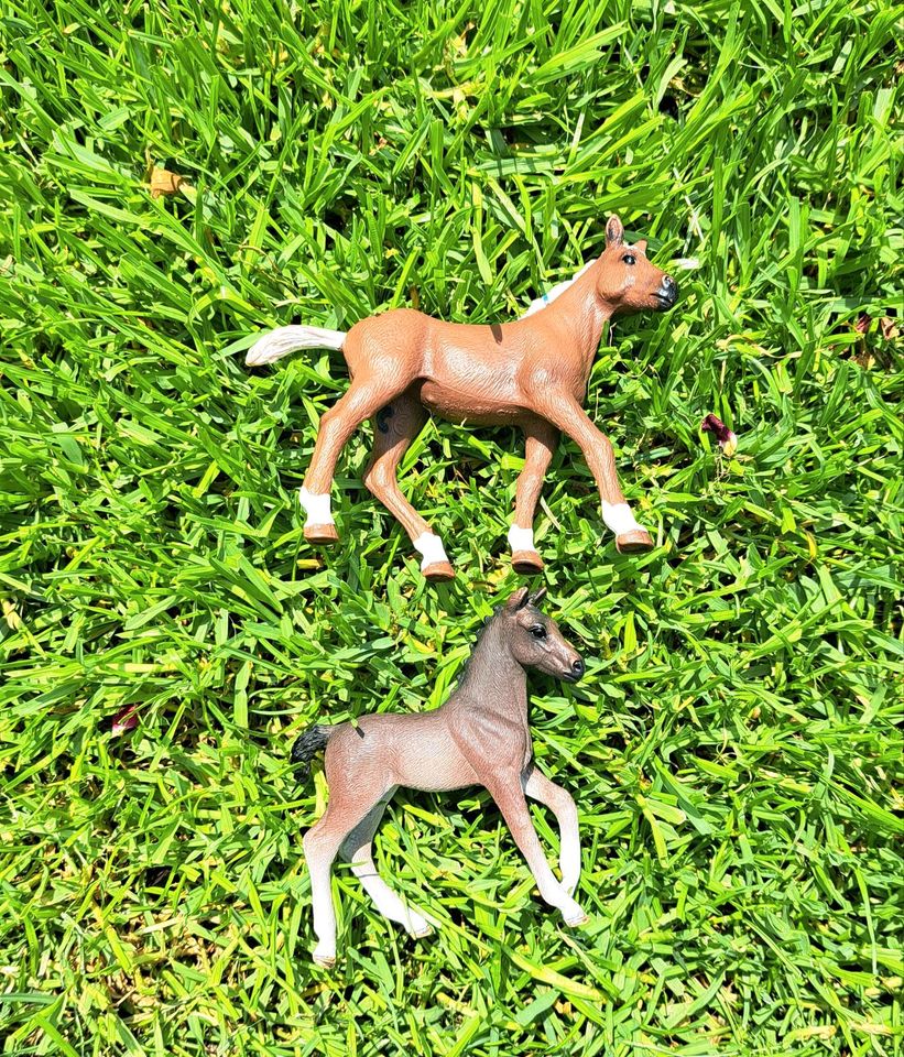 Schleich Pferde / Fohlen in Dresden