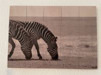 Zebra Bild aus Holz Rheinland-Pfalz - Hermeskeil Vorschau