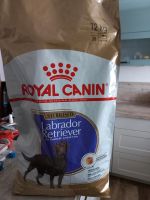 Royal canin 12 kg Trockenfutter Niedersachsen - Papenburg Vorschau