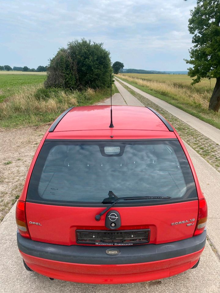 Opel Corsa 1.2 16V 2000er Edition in Kalbe (Milde)