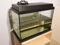 Aquarium Becken Glas 72 Liter 60x30x40cm + Aquarienschrank Holz Hessen - Ortenberg Vorschau