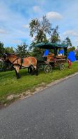 Kutsche/ Planwagen für Großpferde, Kaltblut Thüringen - Greußen Vorschau