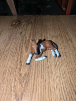 Schleich Fohlen Nordrhein-Westfalen - Borken Vorschau