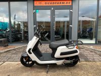 Elektroroller, E-Scooter NIU NQI Cargo | Extended Range Nordrhein-Westfalen - Mettingen Vorschau