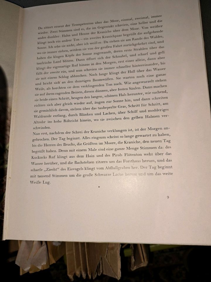 DDR Helmut Drechsler Die Kraniche vom weißen Lug Radebeul Berlin in Berlin